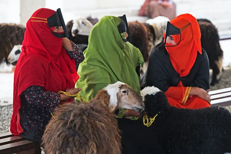 Nizwa_cattle_market,_Oman_-_Christian_Weiss_Unsplash.jpg
