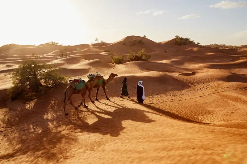 Circuit Les Merveilles Du Sultanat D'Oman & Séjour Fanar Hôtel 5*