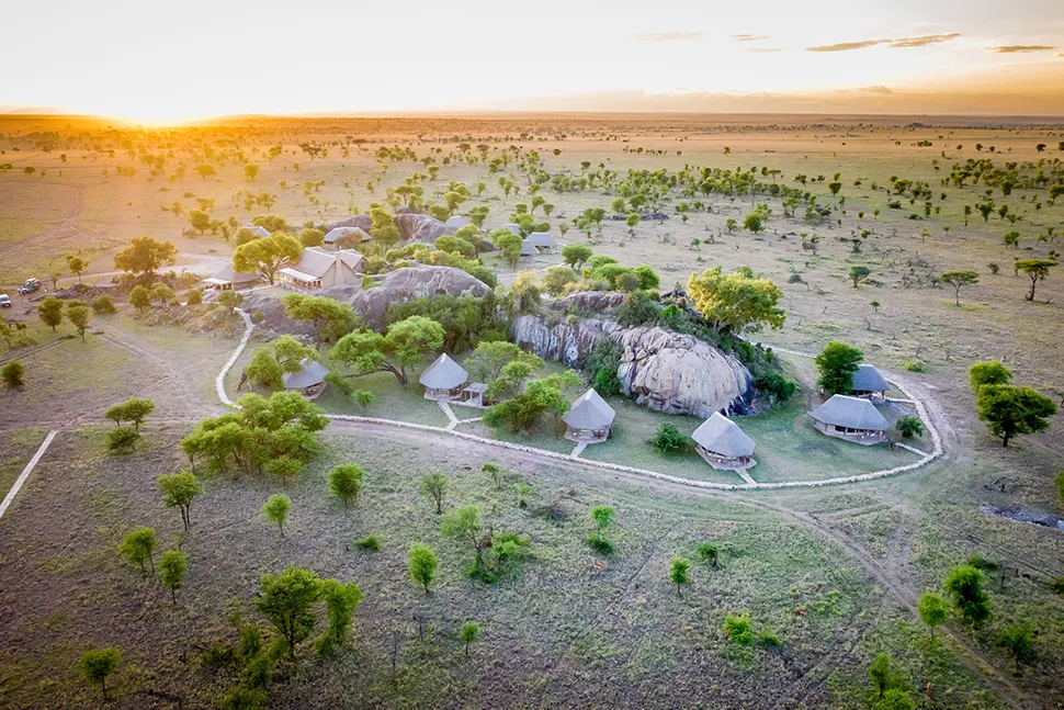 serengeti_-_togoro_plains2.jpg
