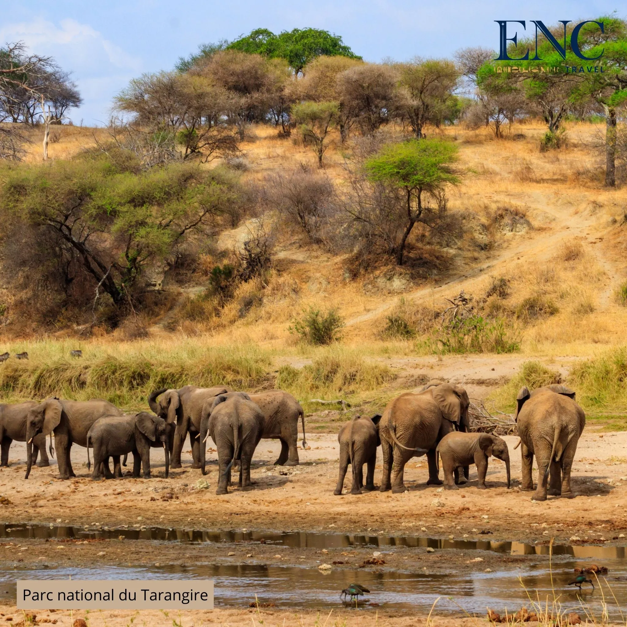 parc_national_du_tarangire.jpg