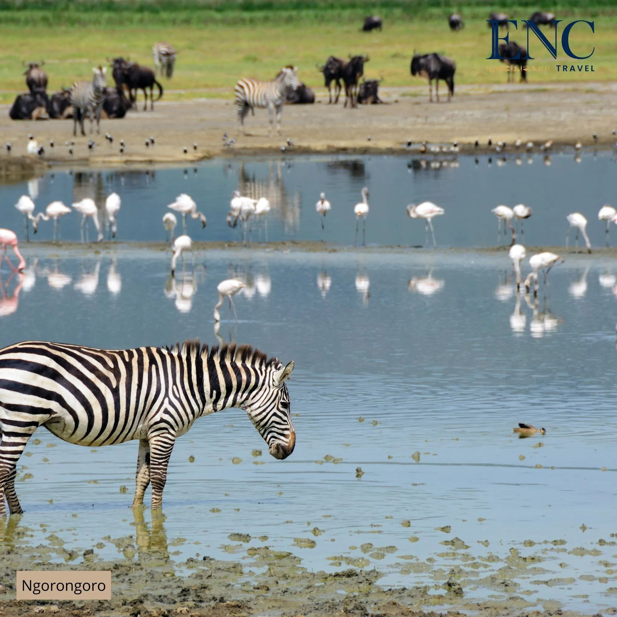 ngorongoro2.jpg