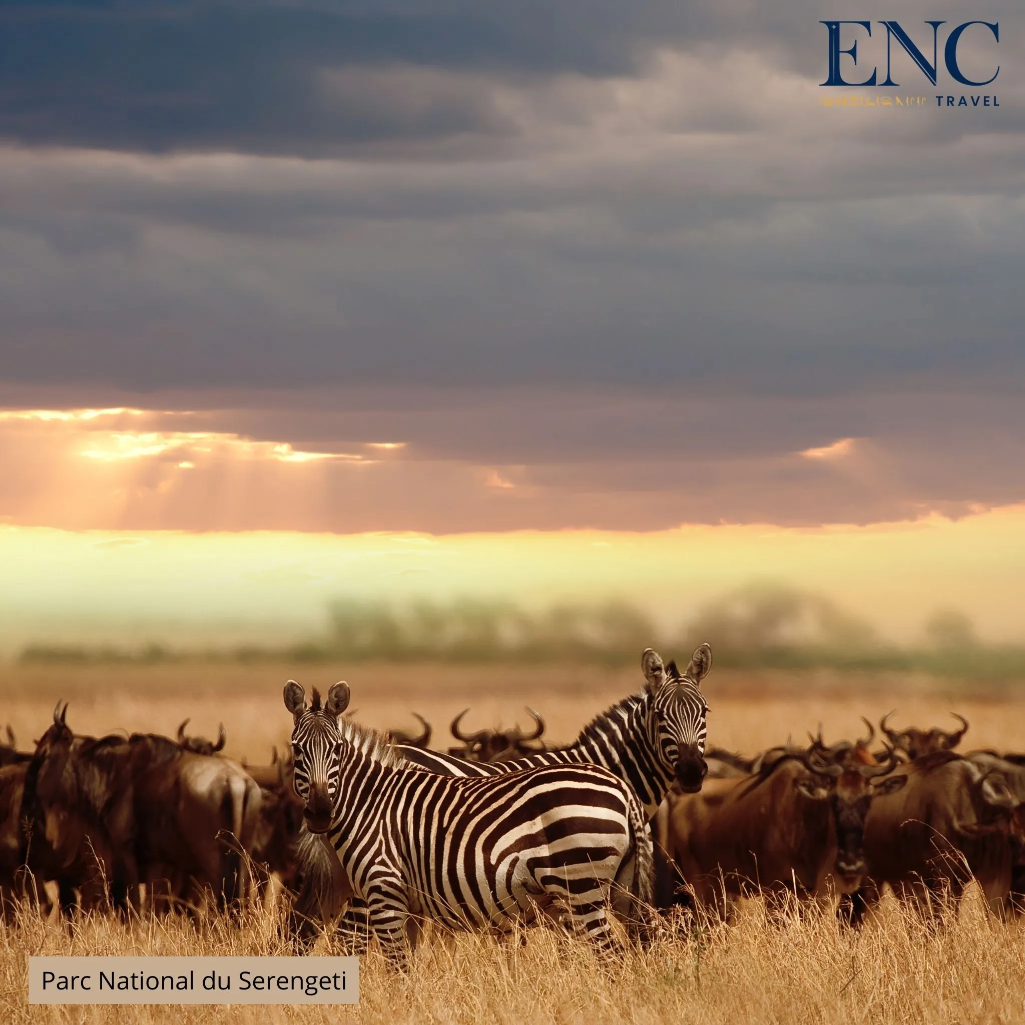 parc_national_du_serengeti7.jpg
