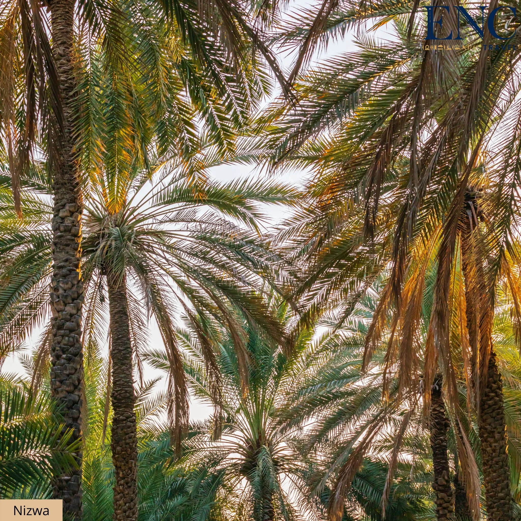 oman_nizwa6.jpg