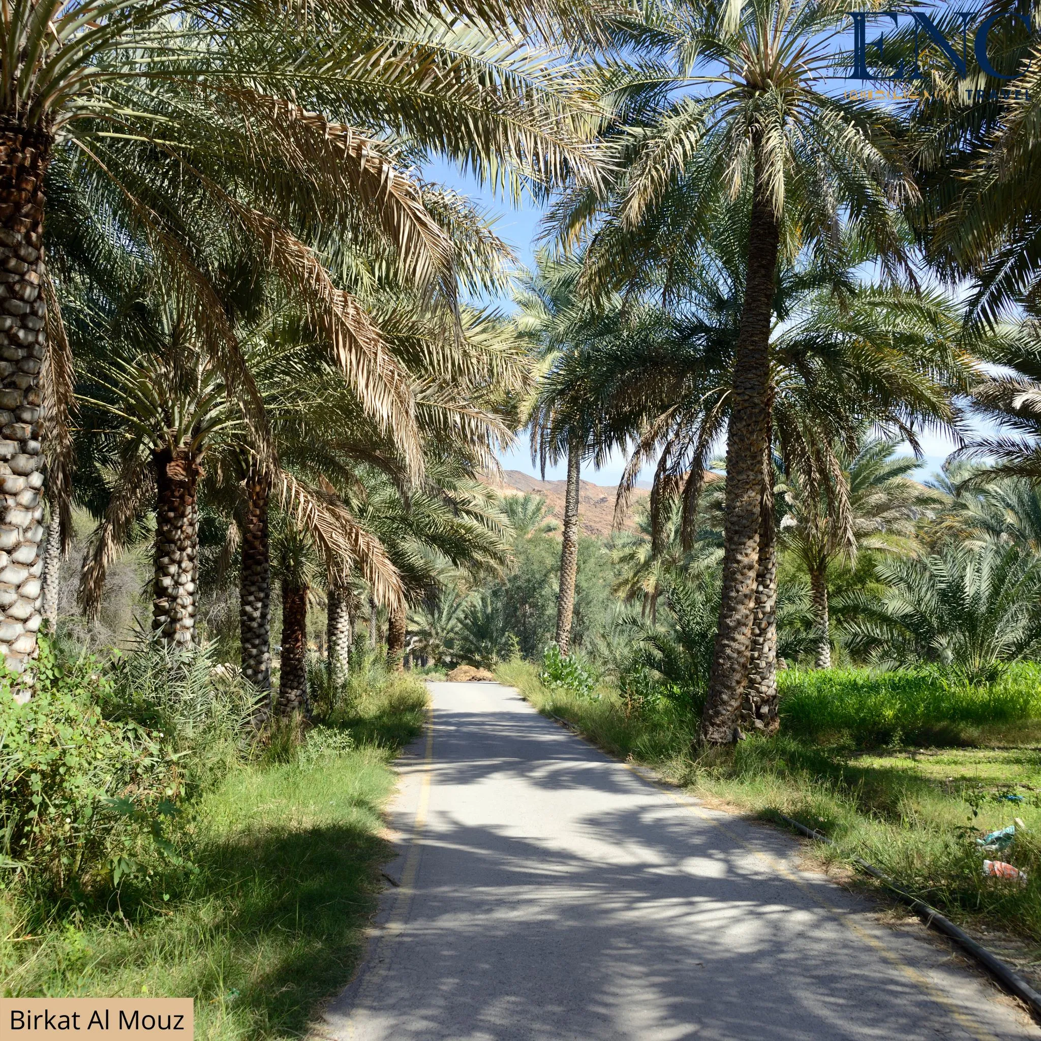 oman_birkat_al_mouz.jpg
