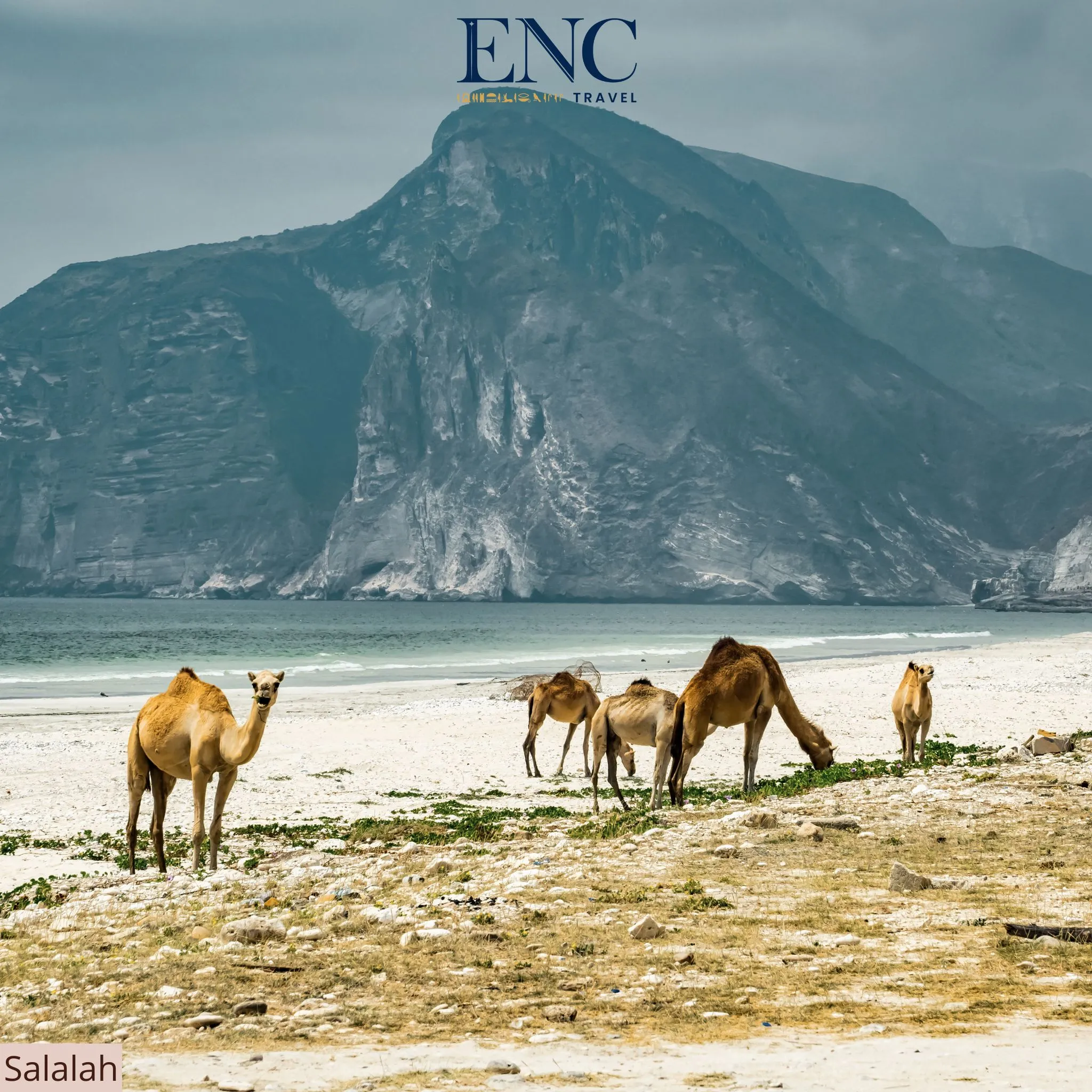 salalah15.jpg