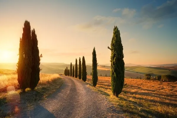 Autotour Balade en Toscane : route des vins en 5 nuits ***