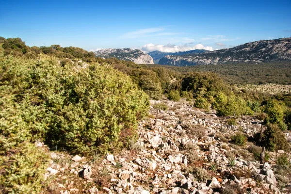 vue_575789_pgbighd.jpg