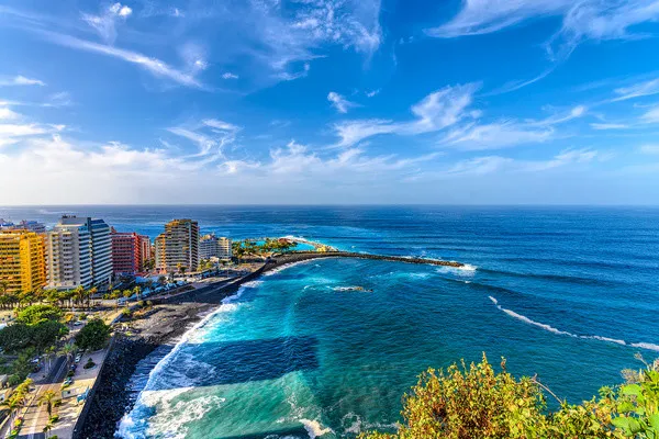 264858698.jpg