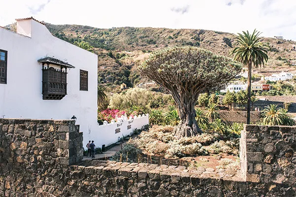 Circuit Saveurs et traditions des Canaries + extension au Hovima Cool Costa Adeje ****