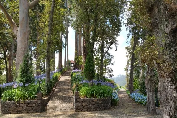 vue_620866_pgbighd.jpg