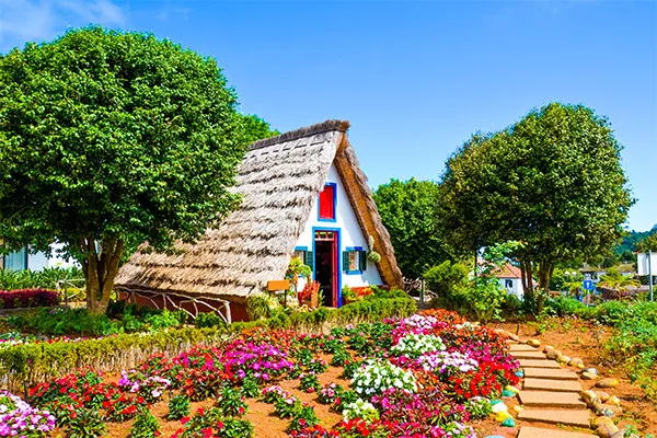 vue_901886_pgbighd.jpg