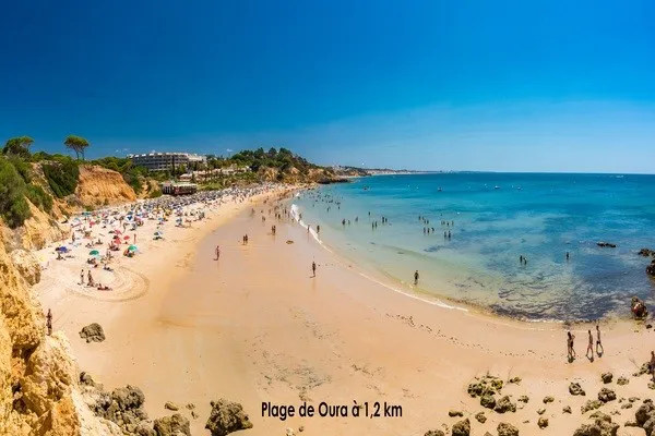 vue_625237_pgbighd.jpg