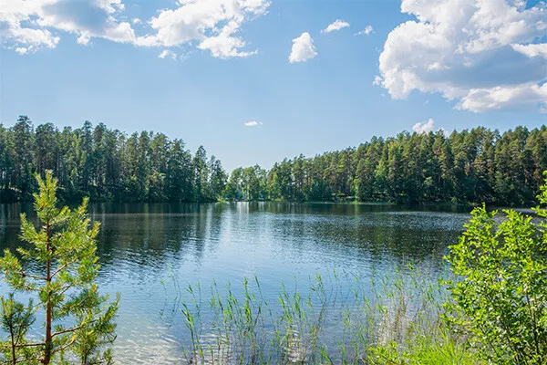 vue_914474_pgbighd.jpg