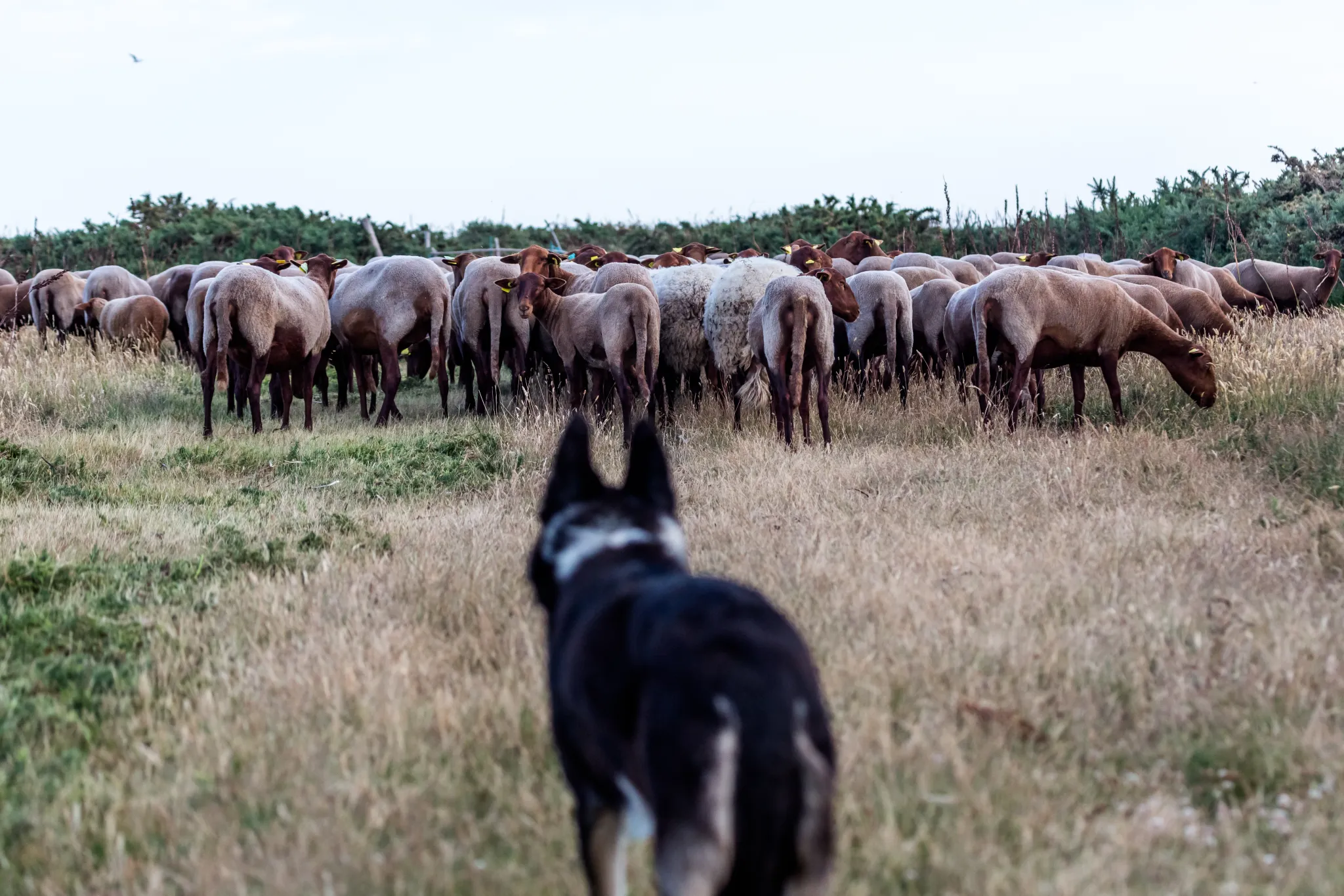 AdobeStock_278199450.jpeg
