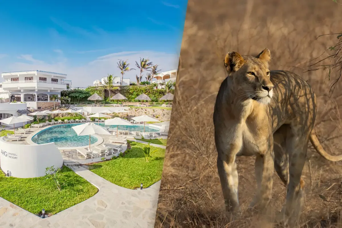 Dyptique_Lion_Beach.webp