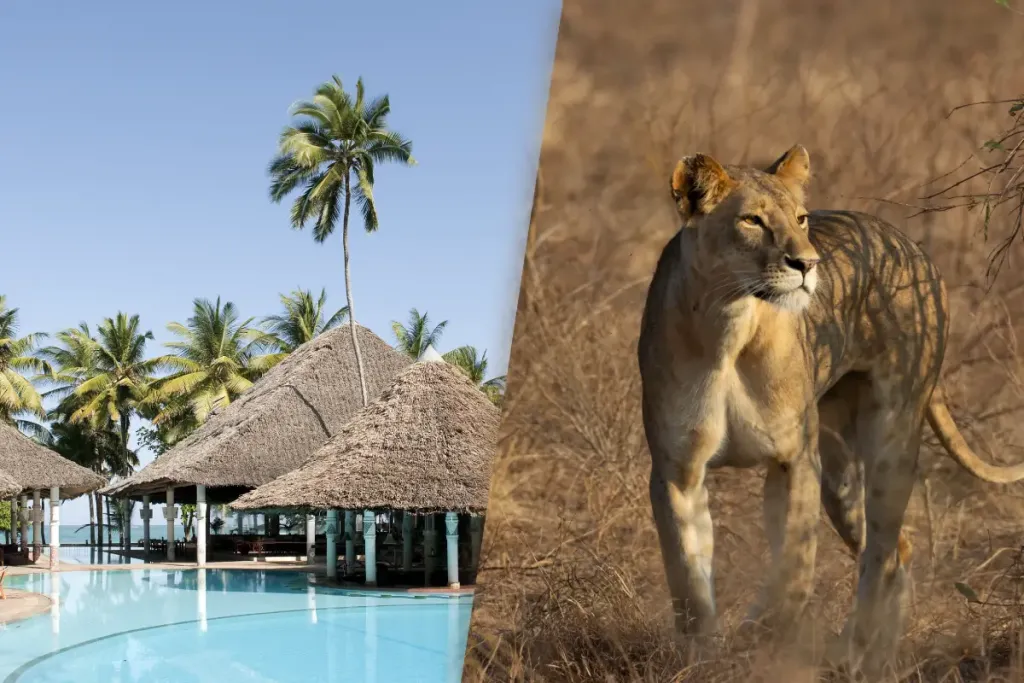 Circuit Safari Tsavo East et Taita Hills 2 Nuits et Séjour au Neptune Village Beach Resort & SPA 4*
