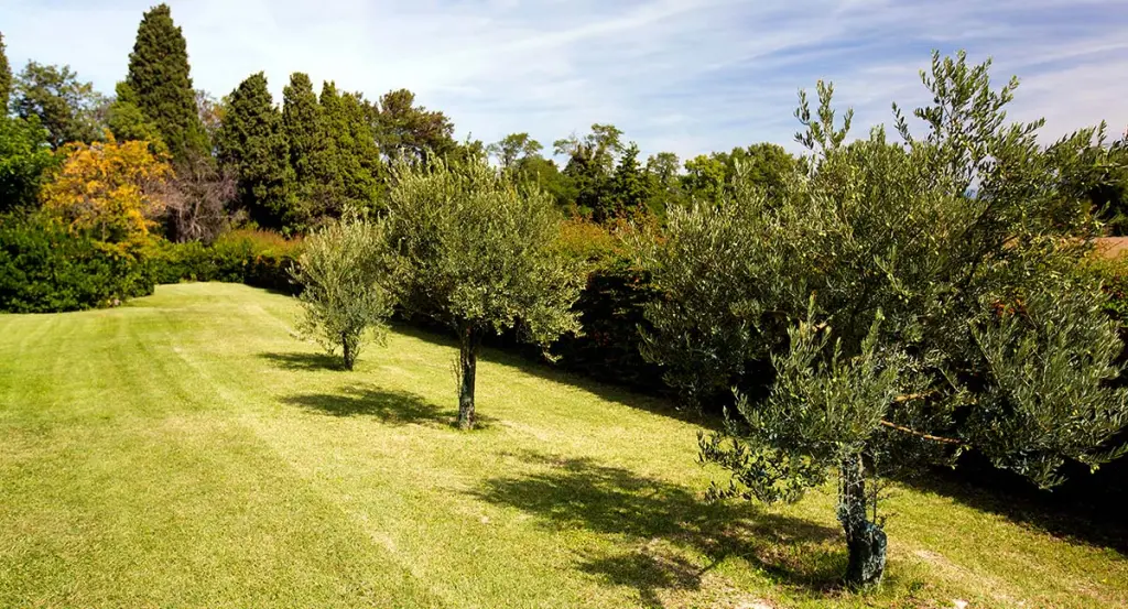 Grand gîte avec piscine en Provence – 11 personnes