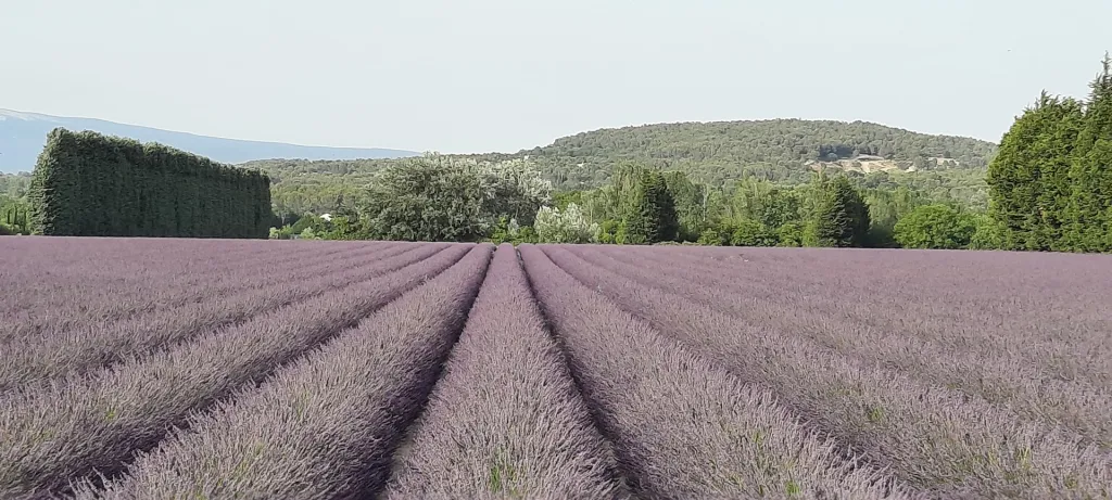 Provence - Vaucluse - Jolie maison de vacances 2-5 personnes, 2 chambres, clim, jardin dans résidence tranquille avec piscine, proche Wave Island et Parc Spirou Provencr